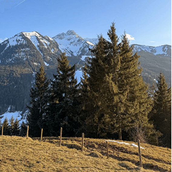 News media