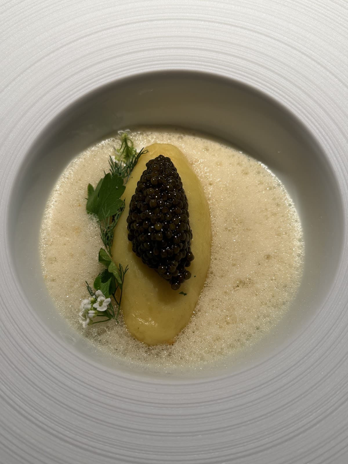Timilia Metz, Michelin-starred pasta restaurant - 7