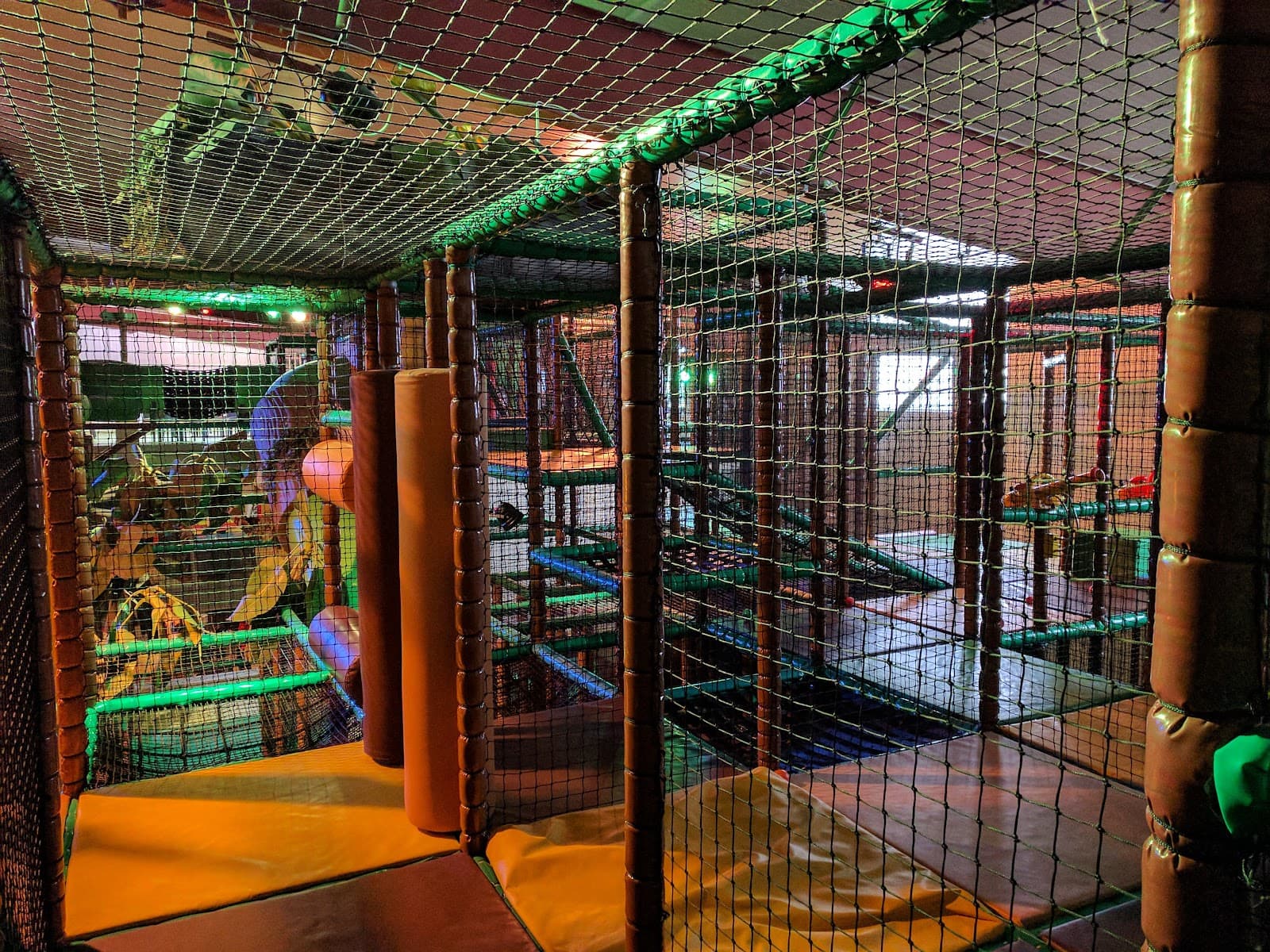 Venture into the jungle! - 4