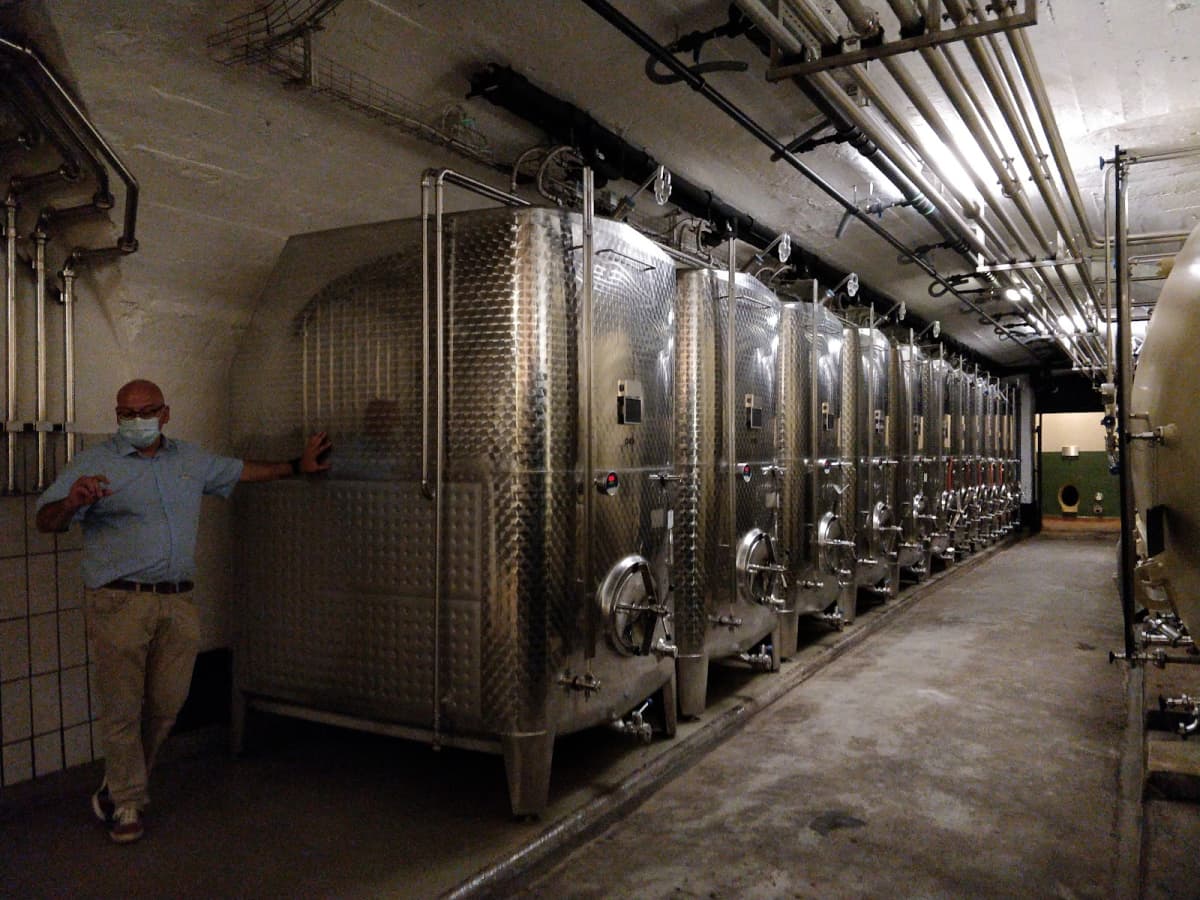 A tour in the cellars - 10