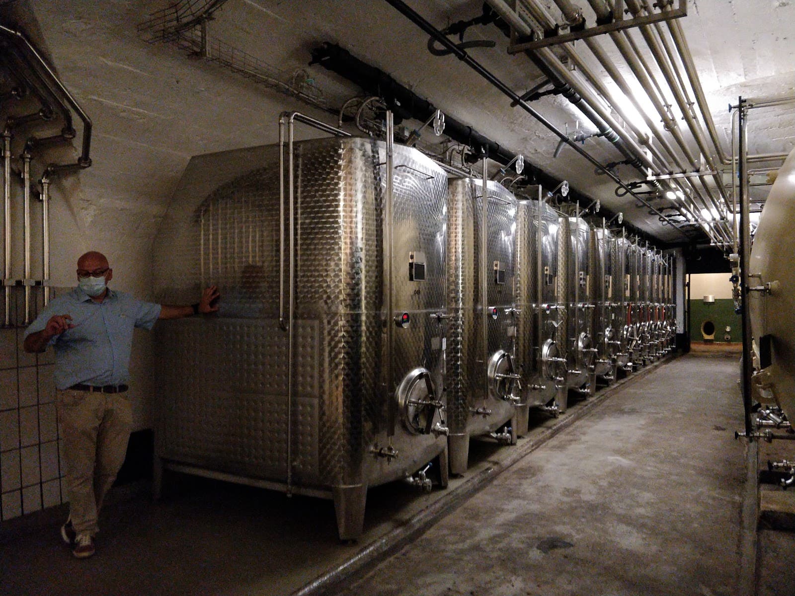 A tour in the cellars - 10