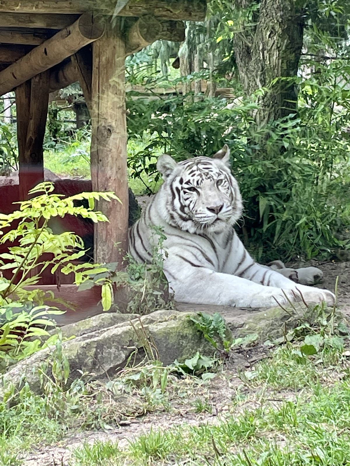 Zoo d'Amnéville : l'un des plus beaux Zoo de France - 4