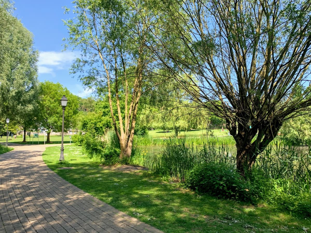 City Park close to Luxembourg - 11