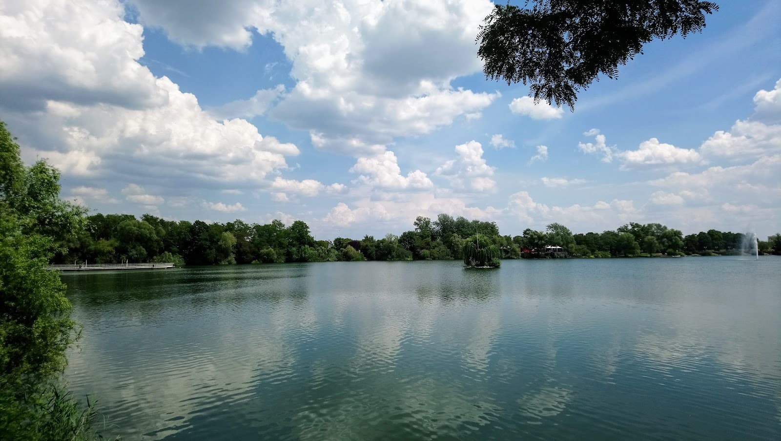 A small swim? - 2