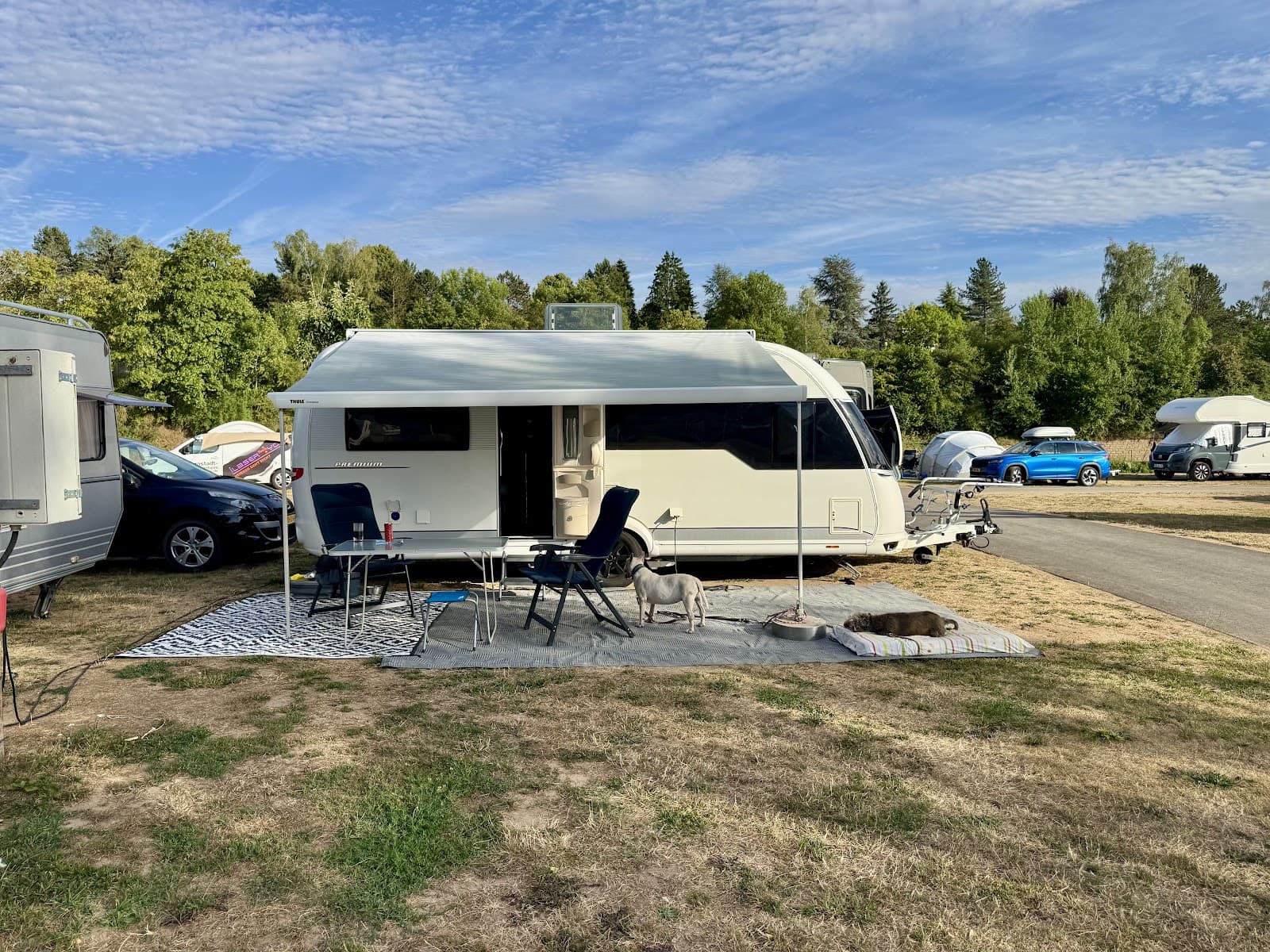 La piscine extérieure au coeur du camping Echternacherbrück - 11