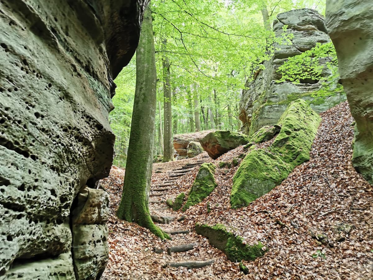 Through rocks and valleys - 3