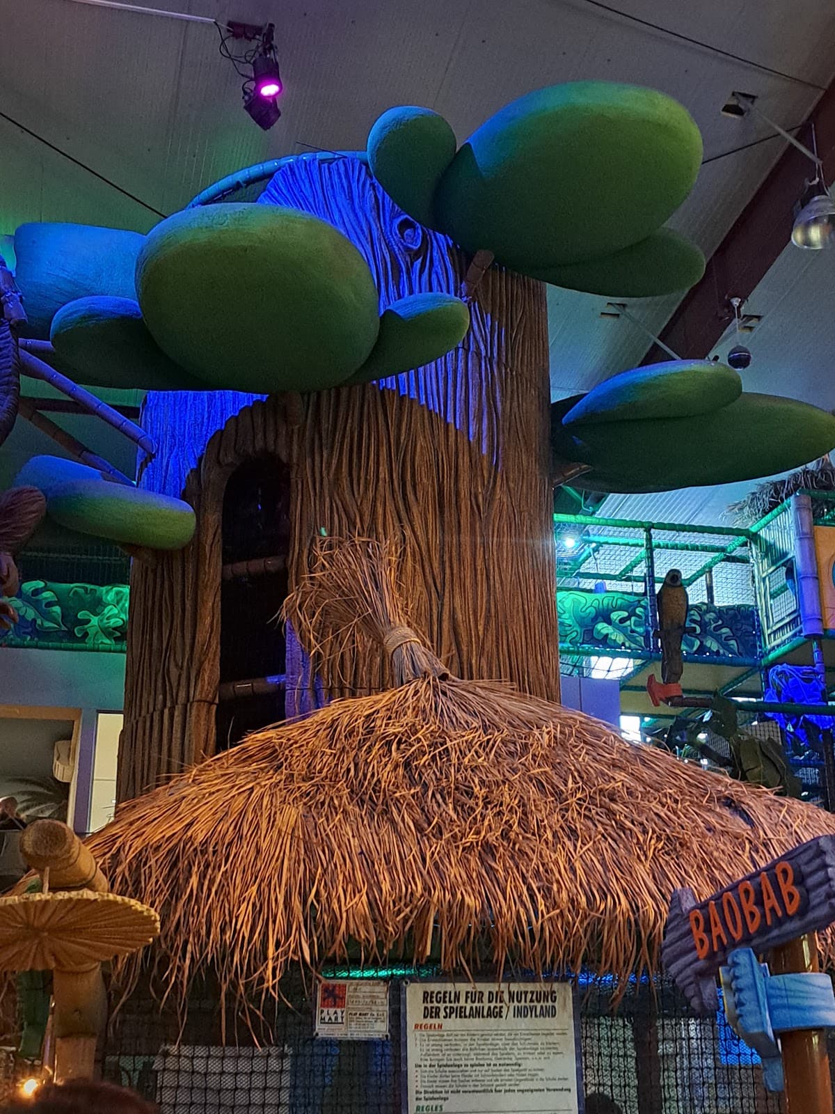 Venture into the jungle! - 9