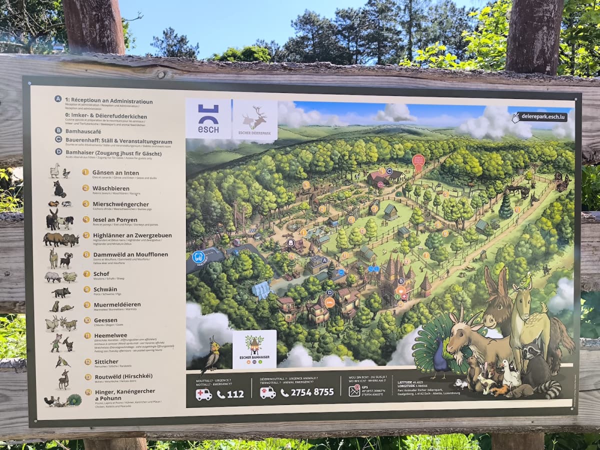 Escher Déierepark : parc animalier gratuit à Esch-sur-Alzette - 9