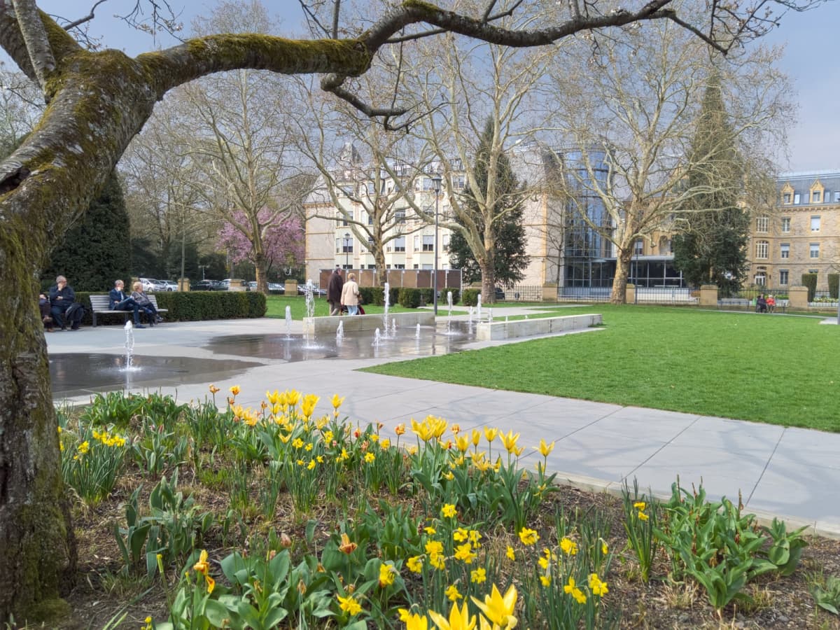 Sous les arbres du parc de Pescatore - 2