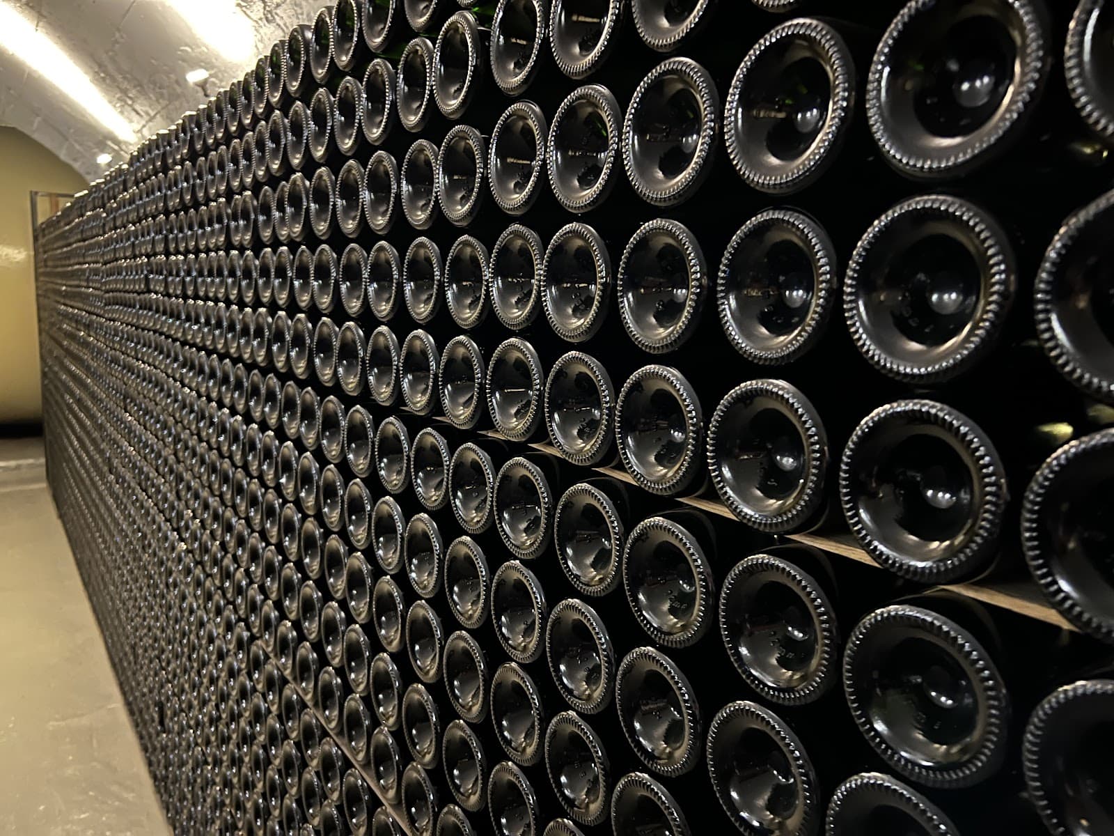 A tour in the cellars - 9