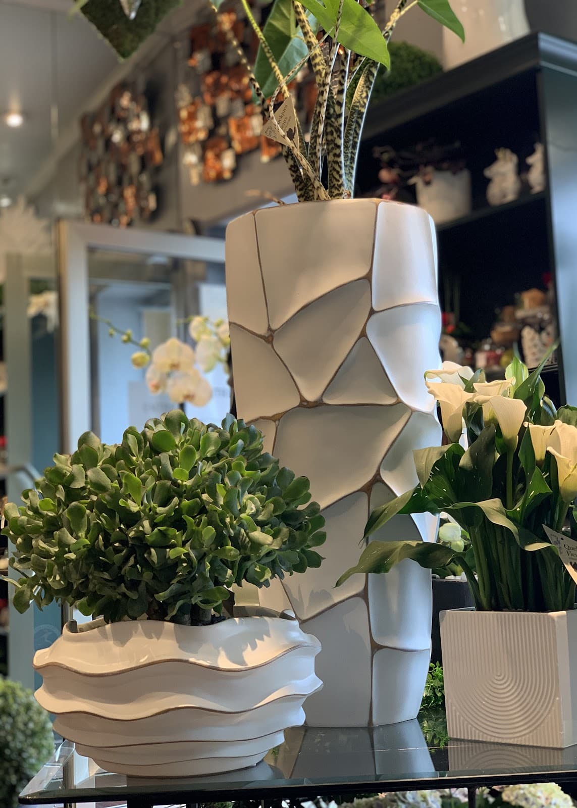 Une fleur par ci, une fleur par là - 5