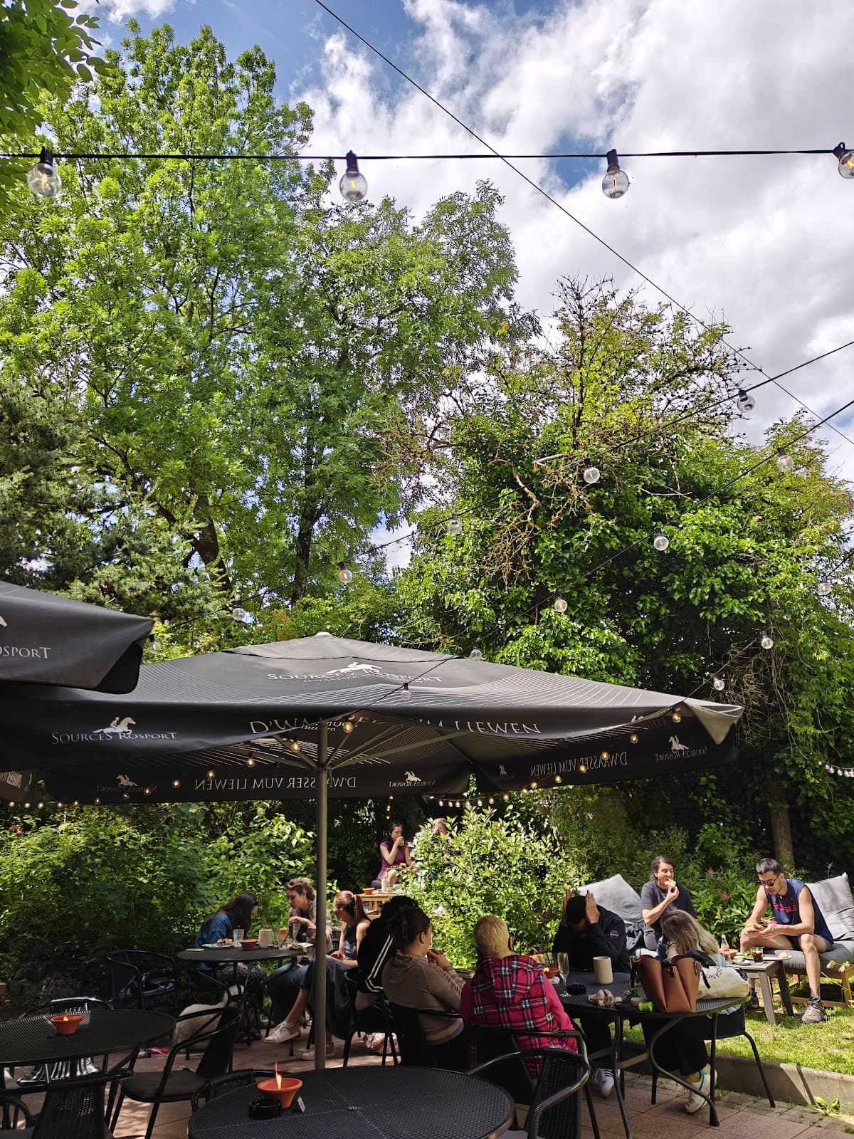 Jungle Cafe - 8