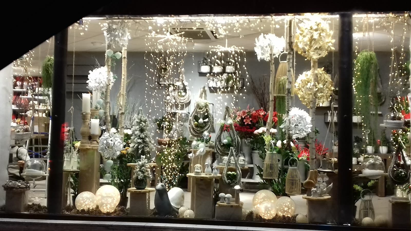 Abracadabra, only flowers for me - 6
