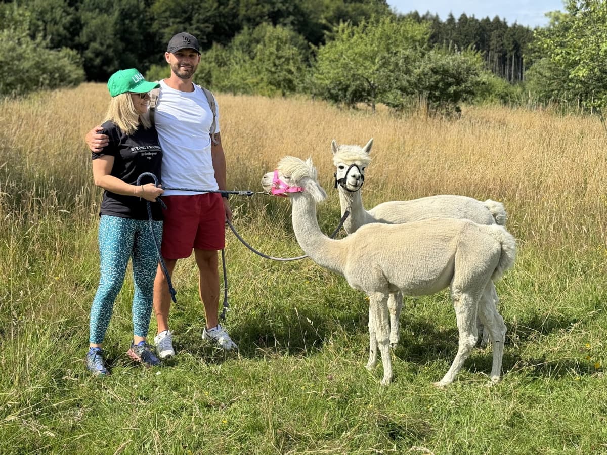Is an alpaca a very hairy donkey? - 6