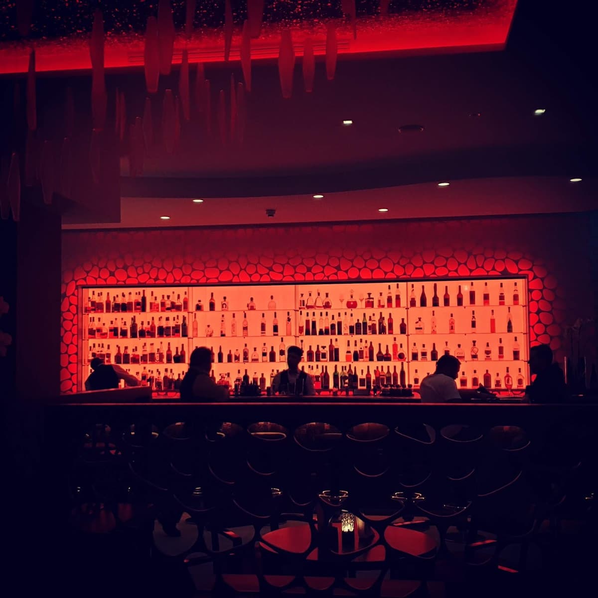 The cocktails are on show! - 10