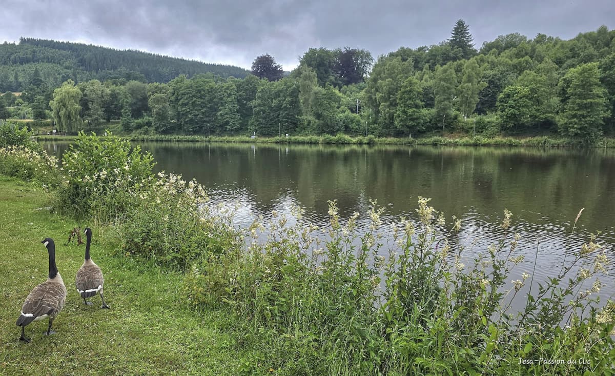 Tous à l'eau - 4