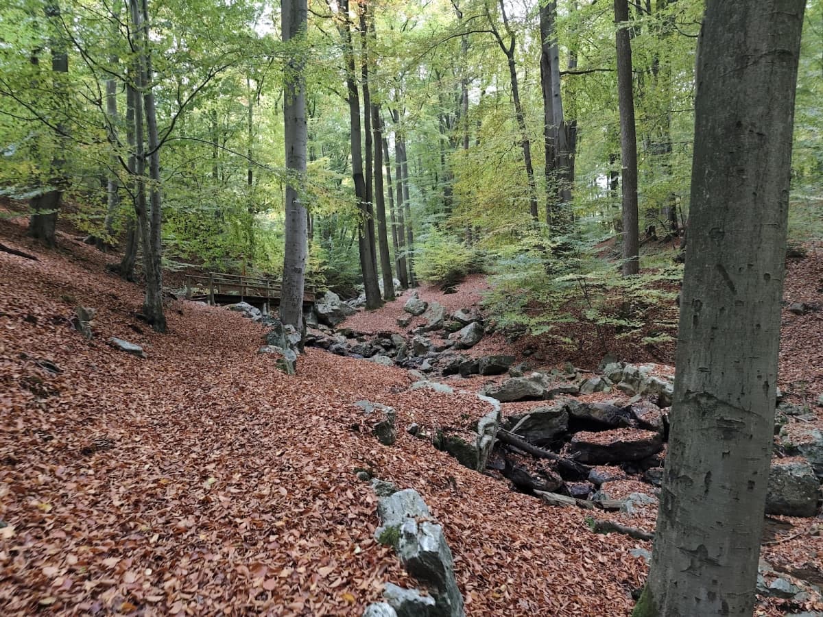 Through rocks and valleys - 9