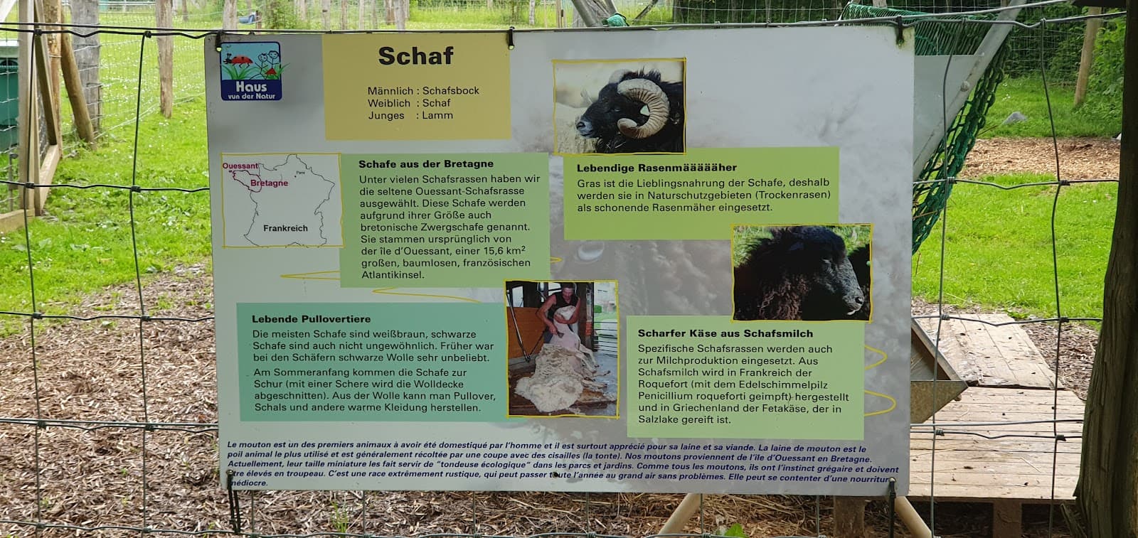 Educational mini farm - 8
