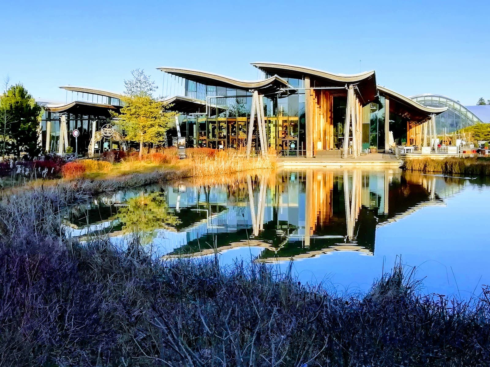 Reconnect with nature at Aqua Mundo Center Parcs - 9