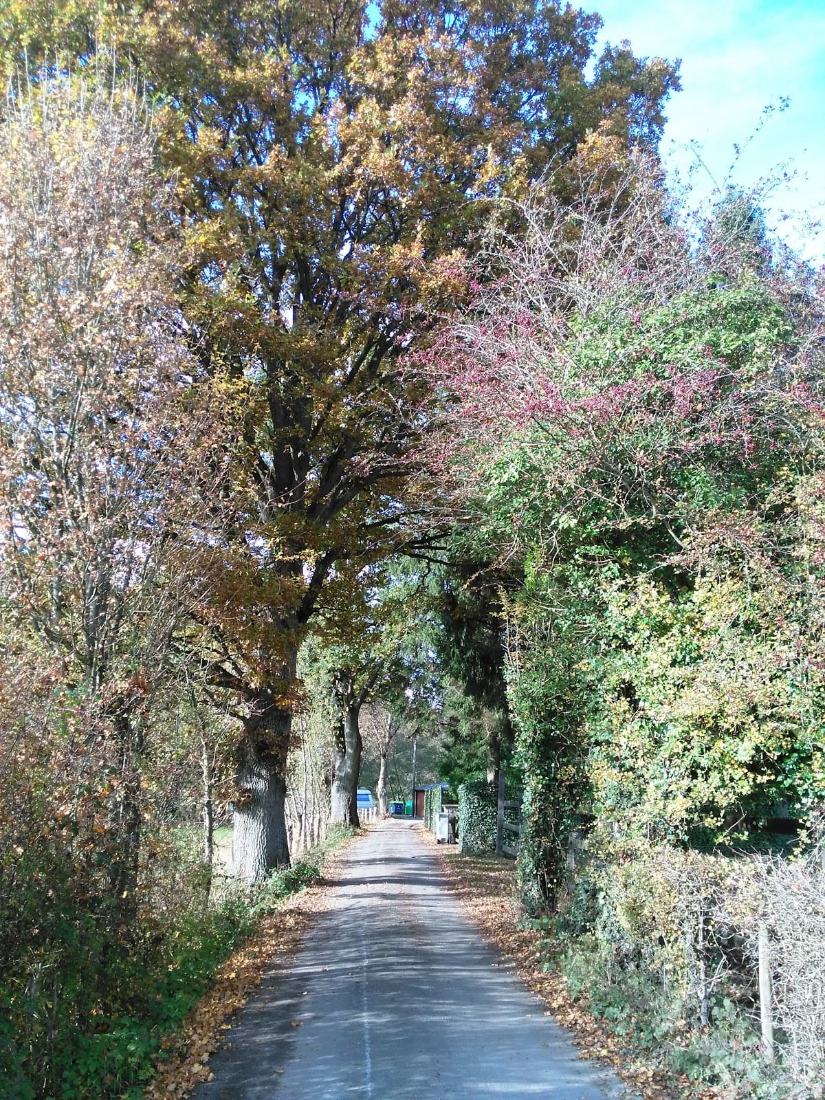 La plus petite ville du monde - 7