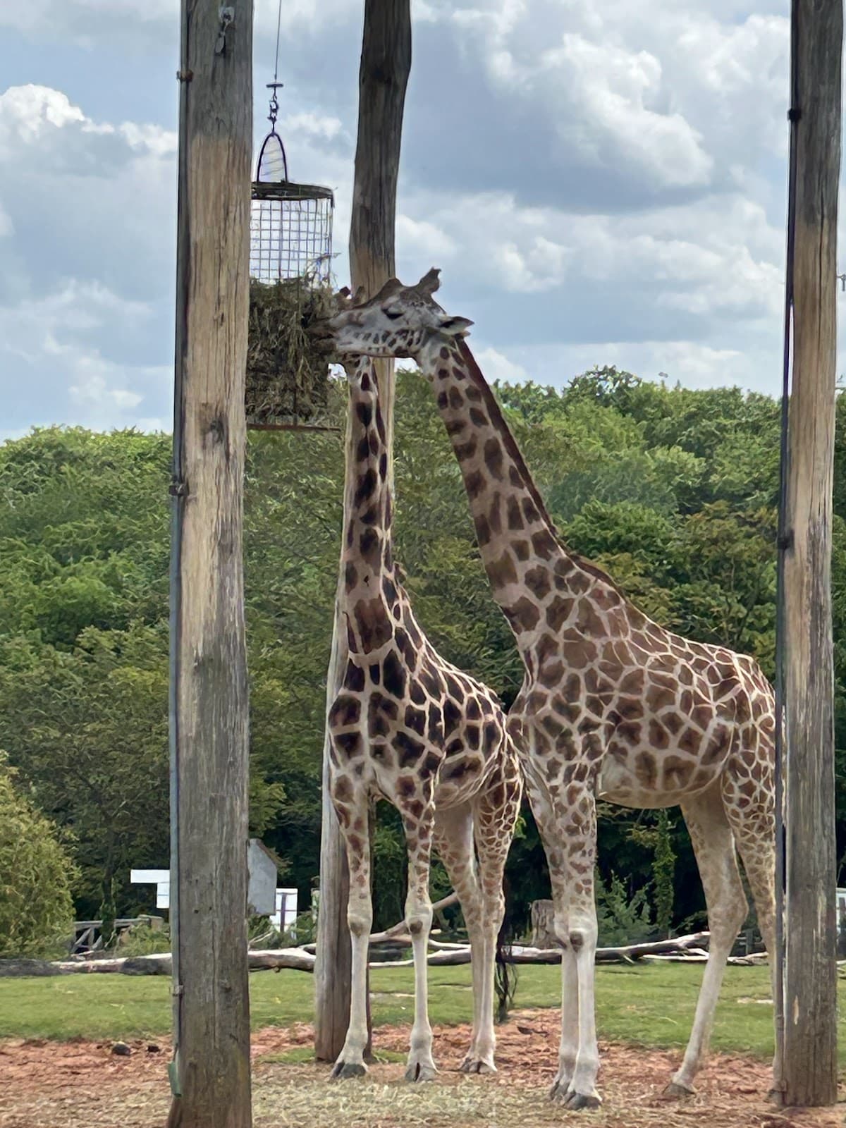 Zoo d'Amnéville : l'un des plus beaux Zoo de France - 3