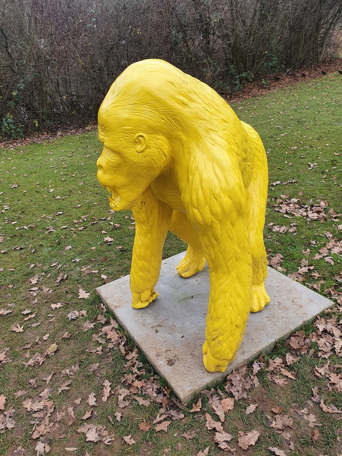 City Park close to Luxembourg - 6