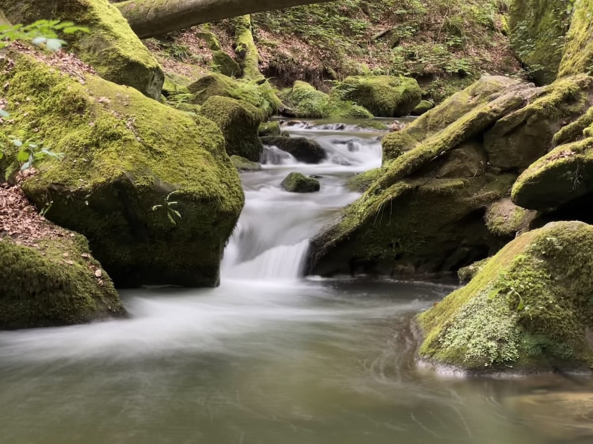 Through rocks and valleys - 5