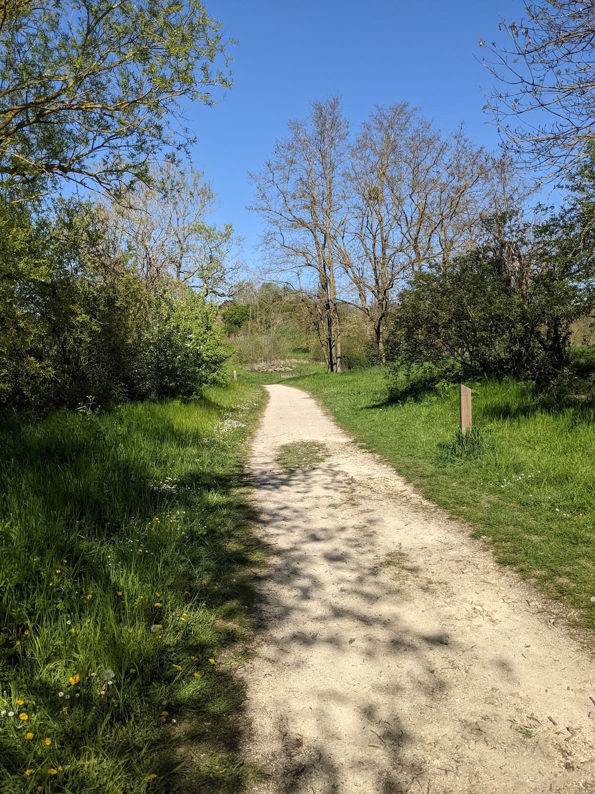 Who let the dogs out? - 5