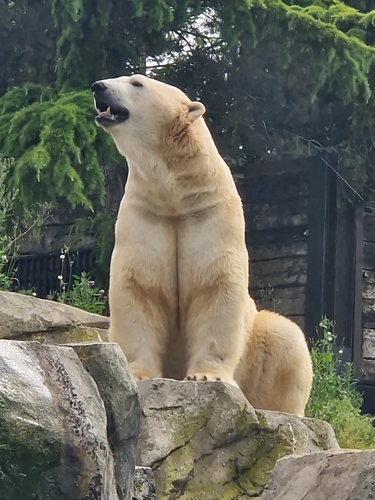 Zoo d'Amnéville : l'un des plus beaux Zoo de France - 8