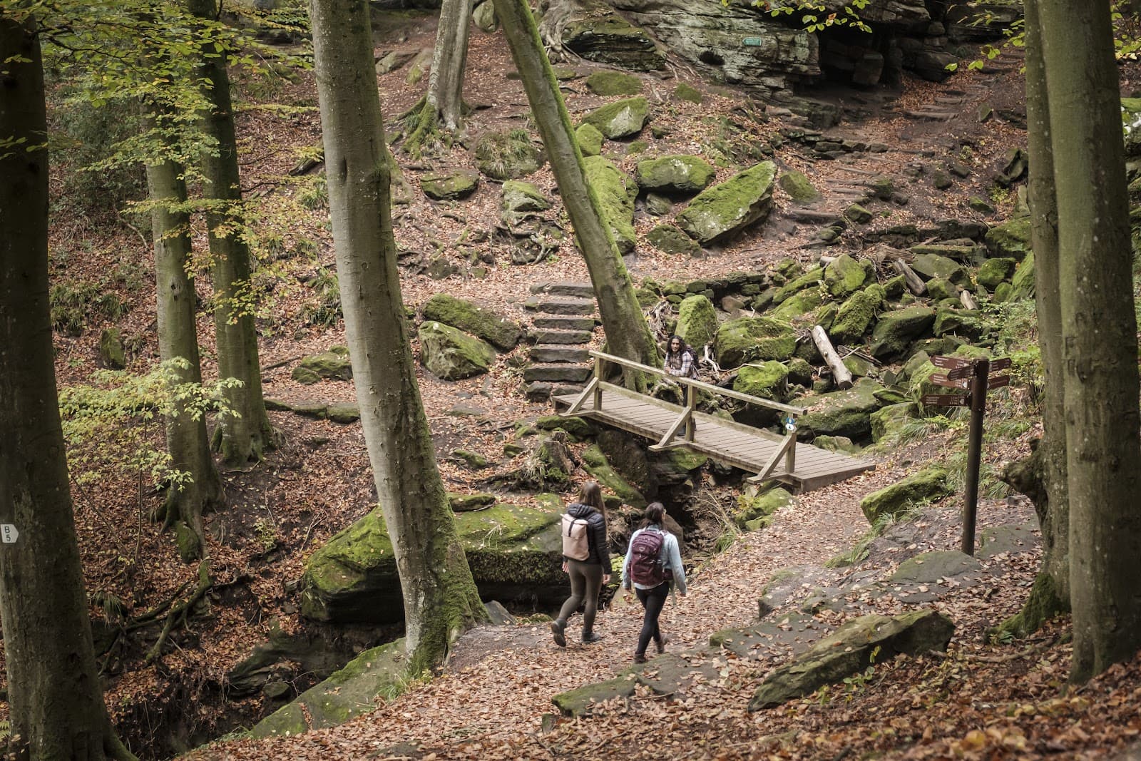 Through rocks and valleys - 2