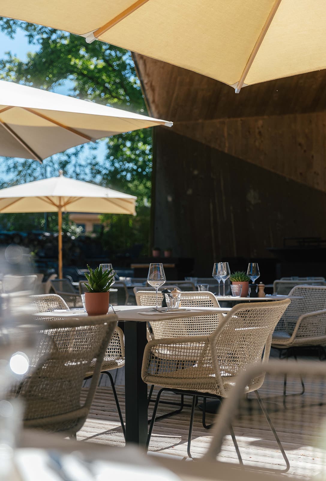 La Brasserie en lisière de forêt - 3
