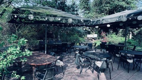 Jungle Cafe - 5