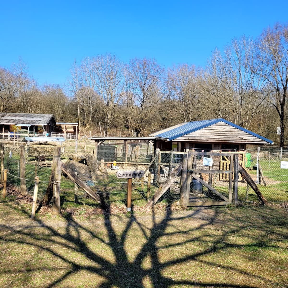Educational mini farm - 2