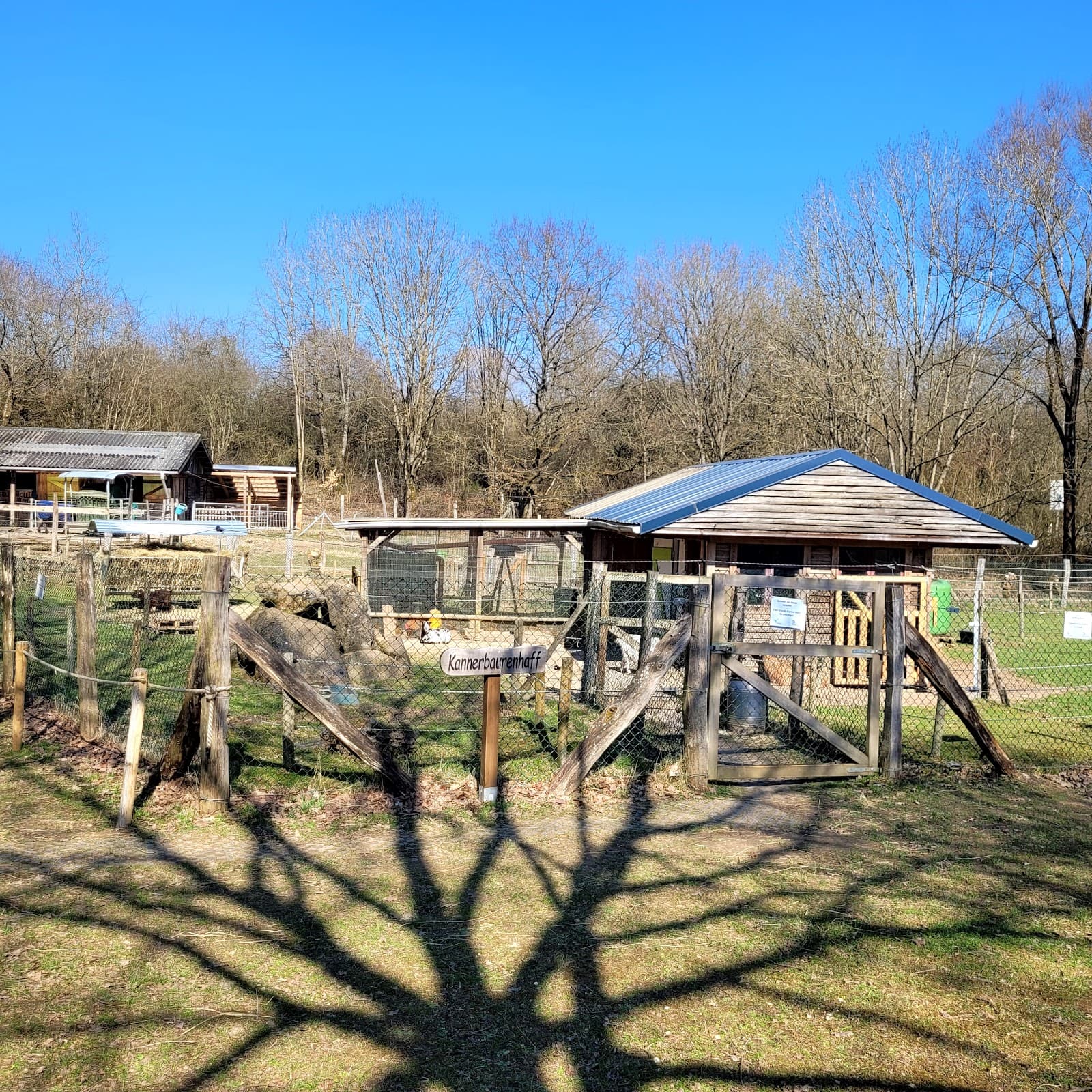 Educational mini farm - 2
