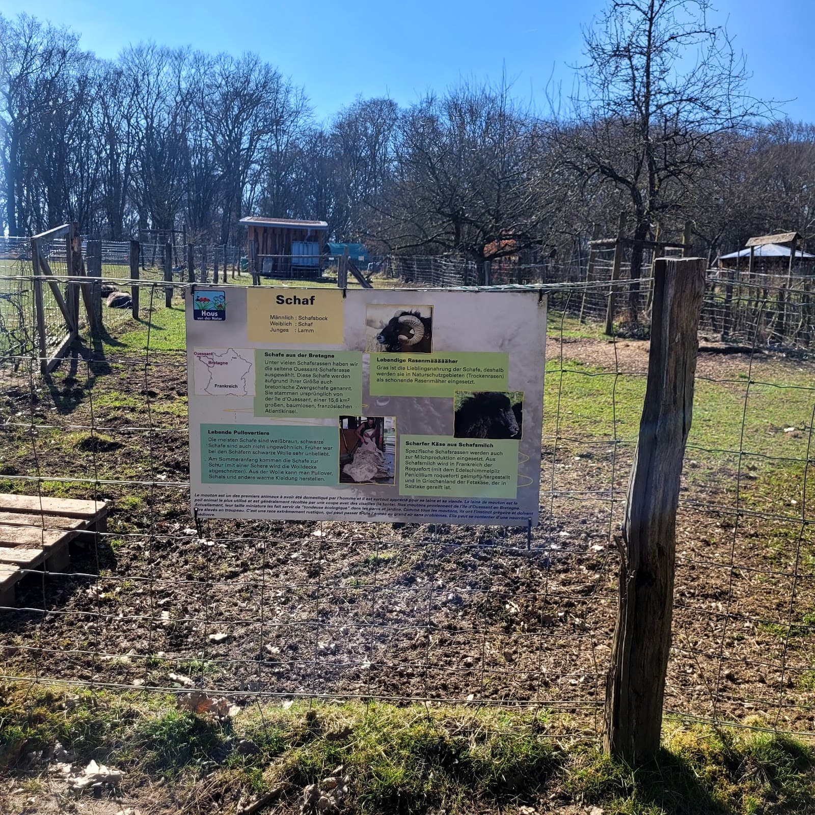 Educational mini farm - 5