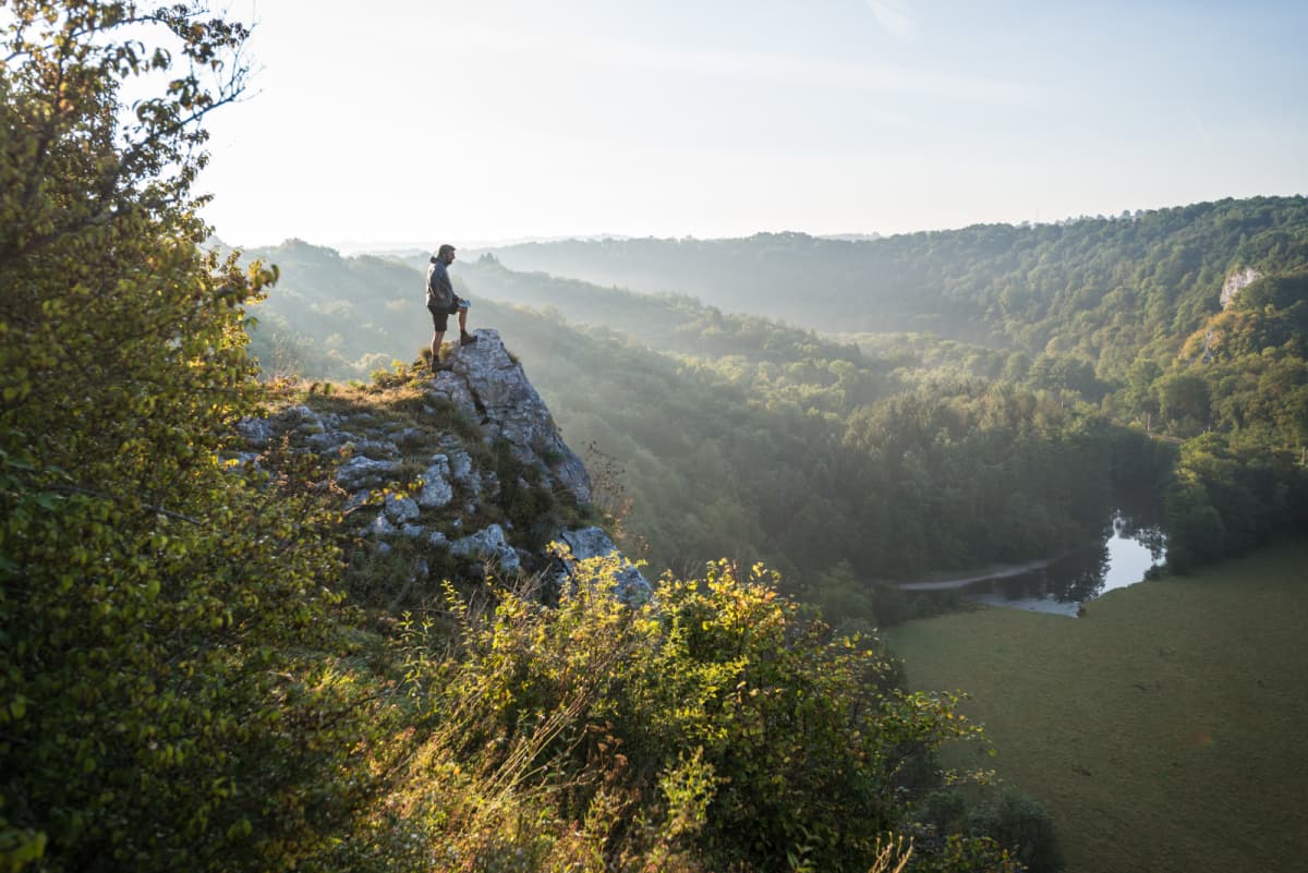 La Passerelle des Oiseaux - 8