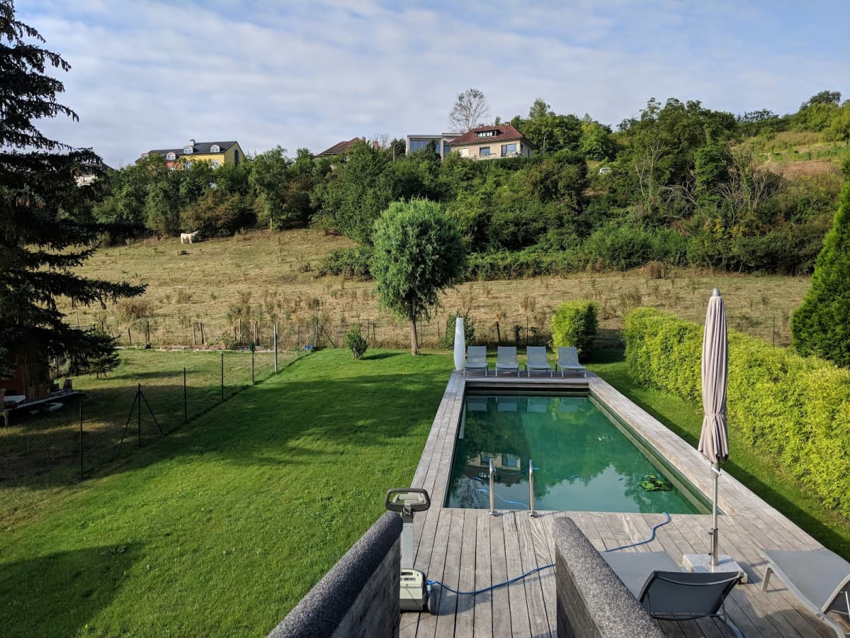 Hôtel-Restaurant de l'Écluse: view over the vineyards and the Moselle - 6