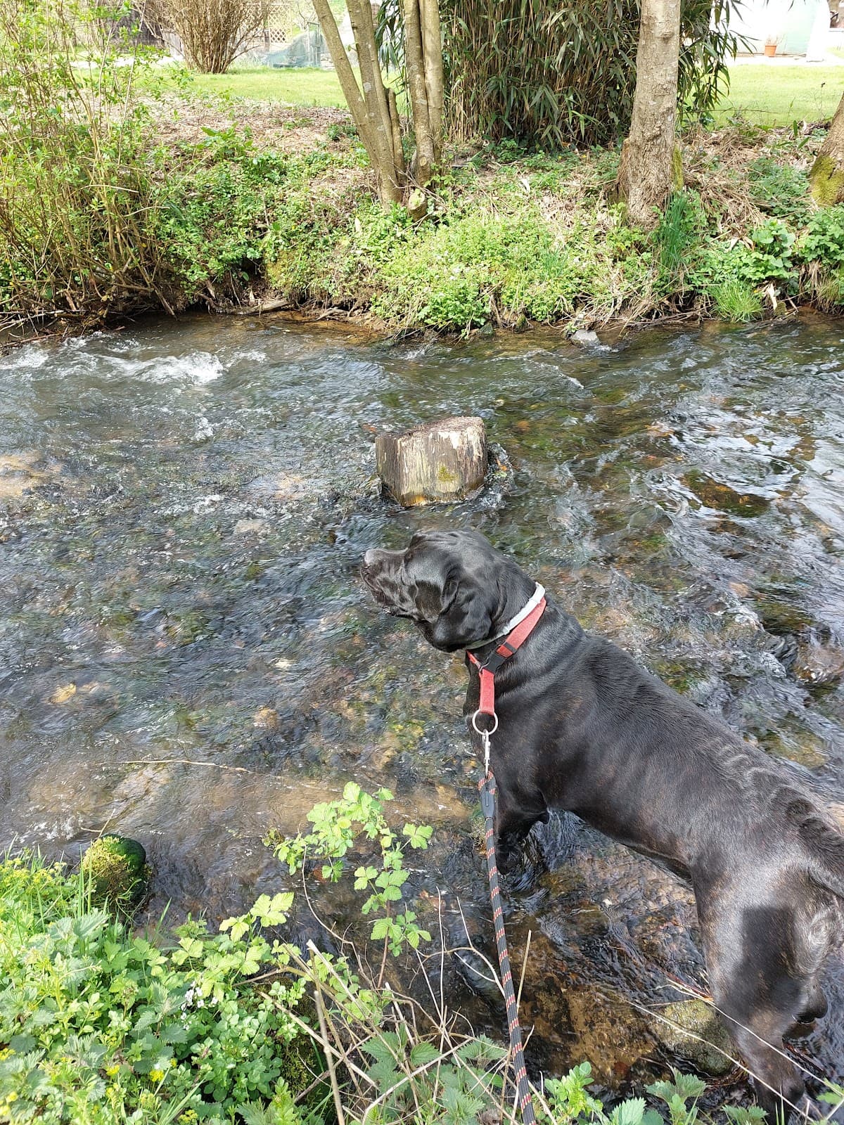Le Lac de Conchibois pour se jetter à l’eau - 10
