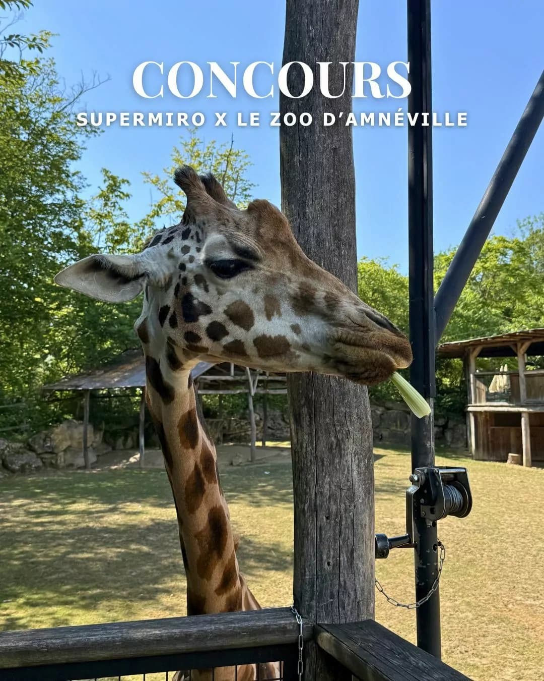 Concours Supermiro x Zoo d'Amnéville