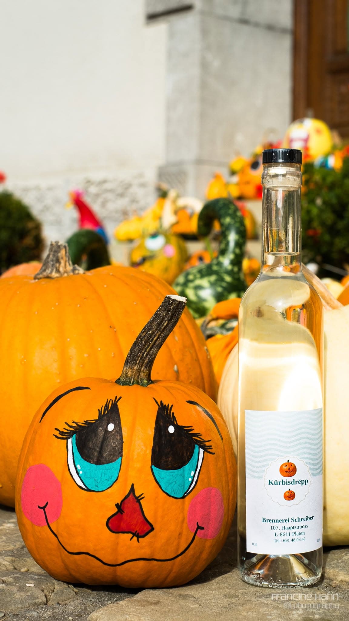 Halloween is approaching: find your pumpkin! - 4