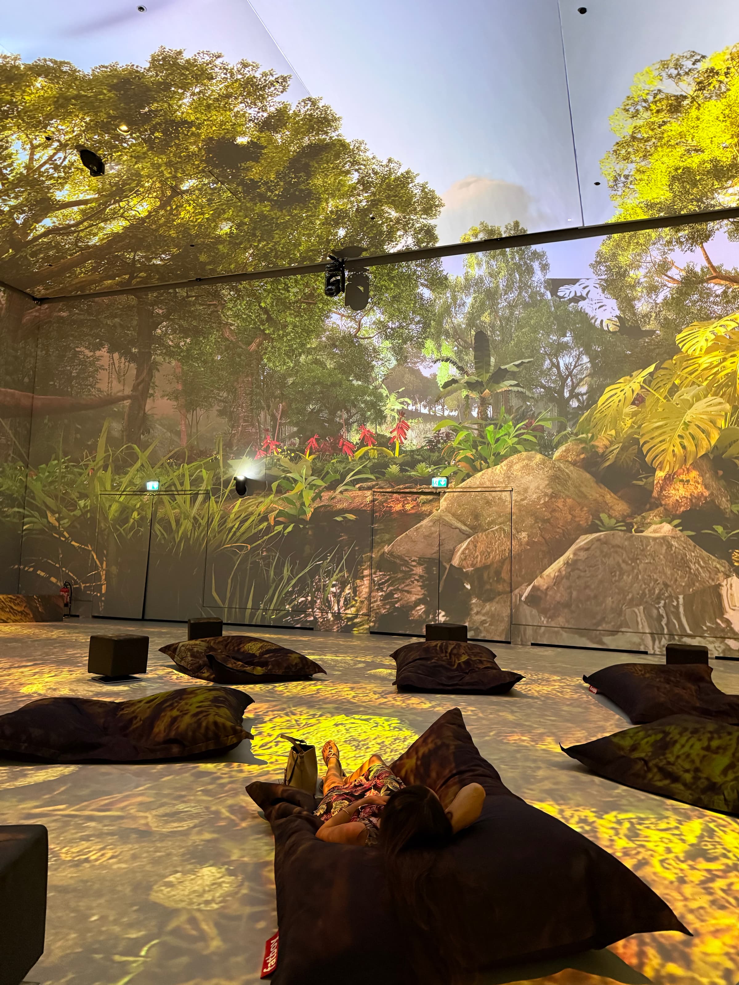DINOSAURS - Une aventure spectaculaire et immersive à GRIDX - 4