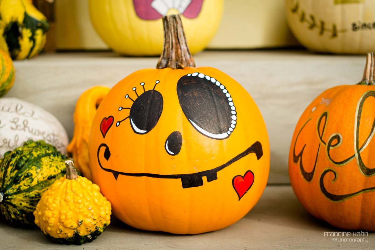 Halloween is approaching: find your pumpkin! - 5
