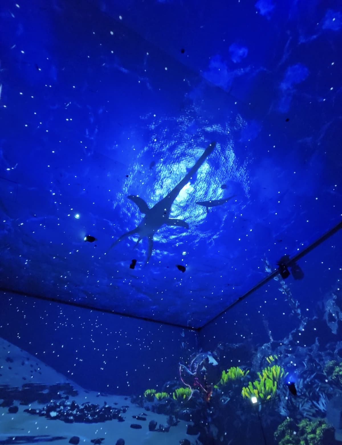 DINOSAURS - Une aventure spectaculaire et immersive à GRIDX - 2