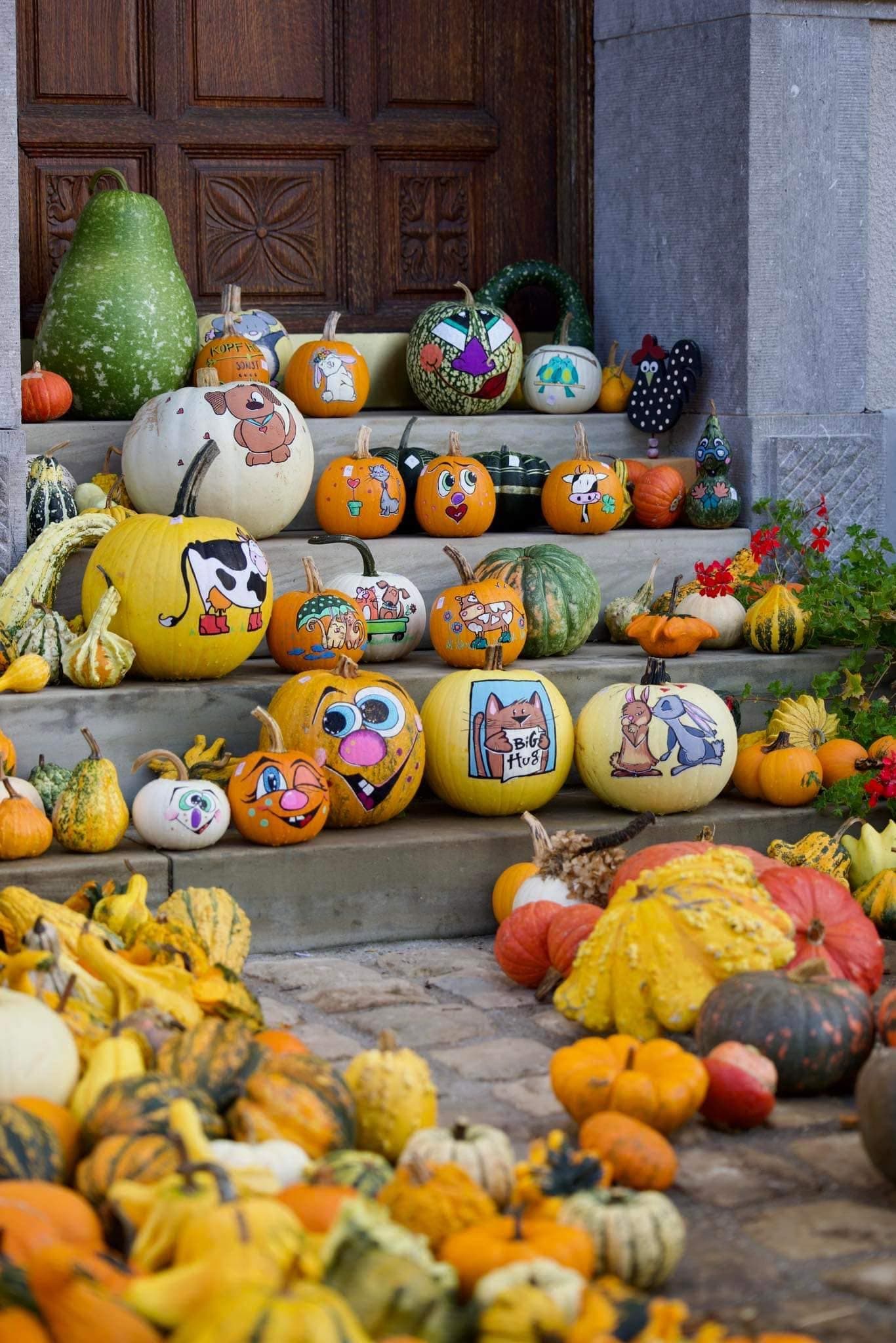 Halloween is approaching: find your pumpkin! - 5