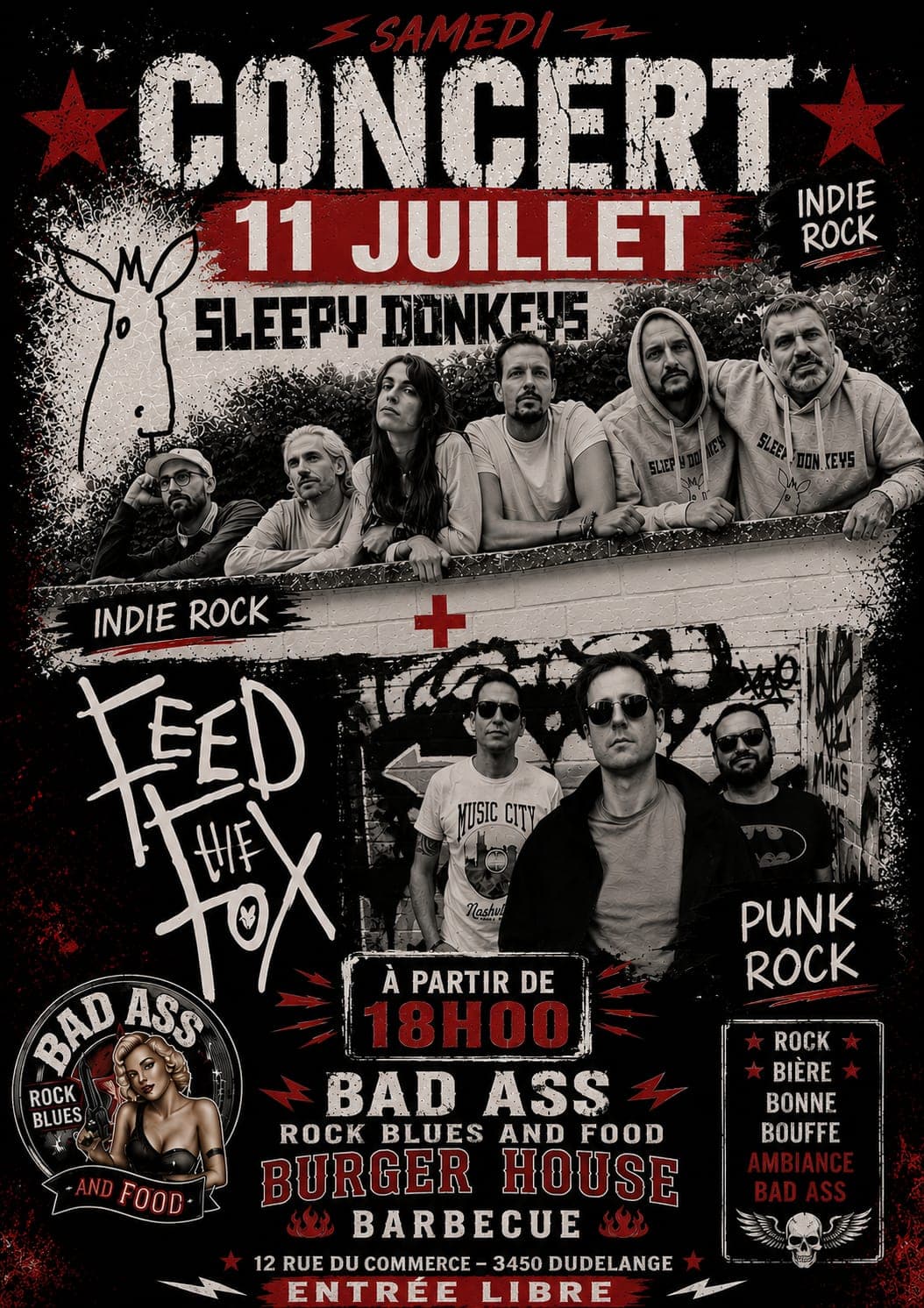 Concert de Sleepy Donkeys & Feed The Fox