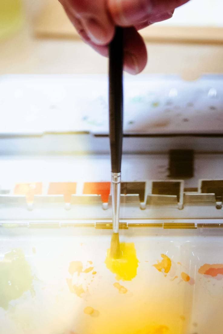 Atelier d'aquarelle : pratique et exploration
