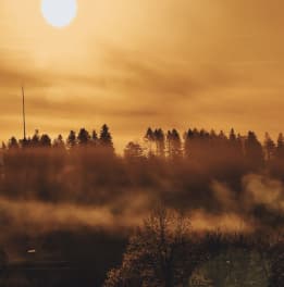 Black Hole Sun – Lab - rainy days