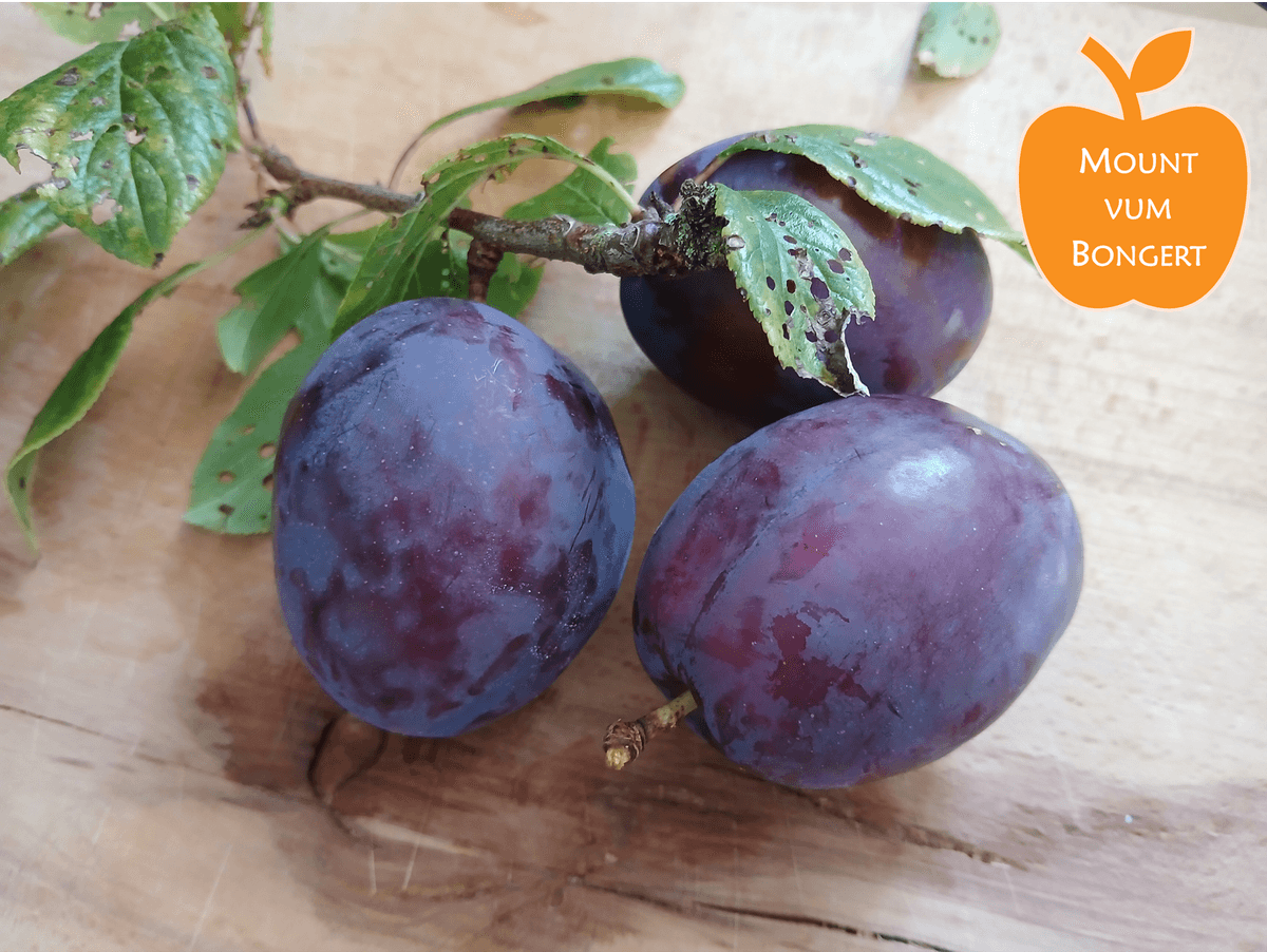 Plum Festival in Larochette
