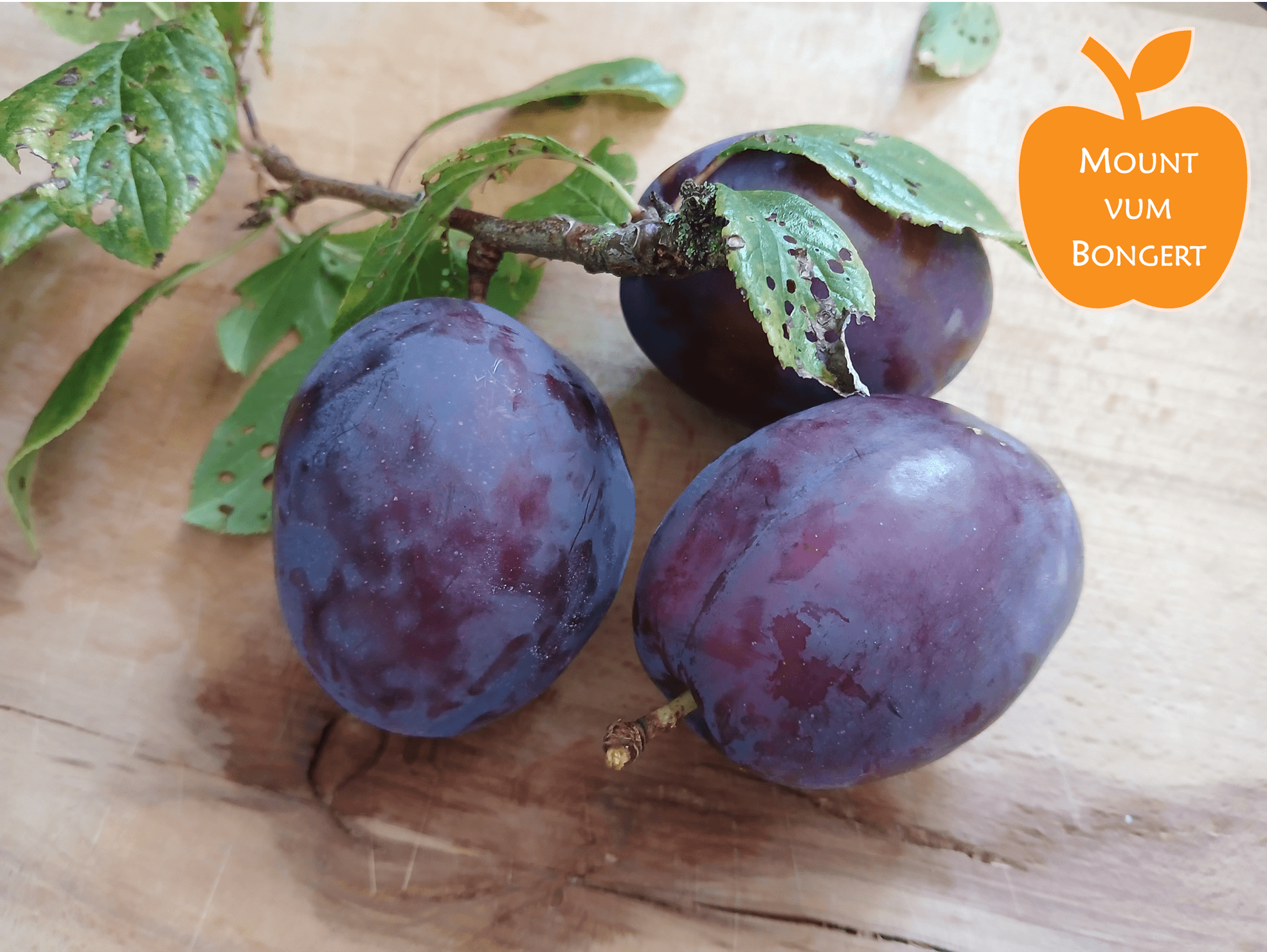 Plum Festival in Larochette