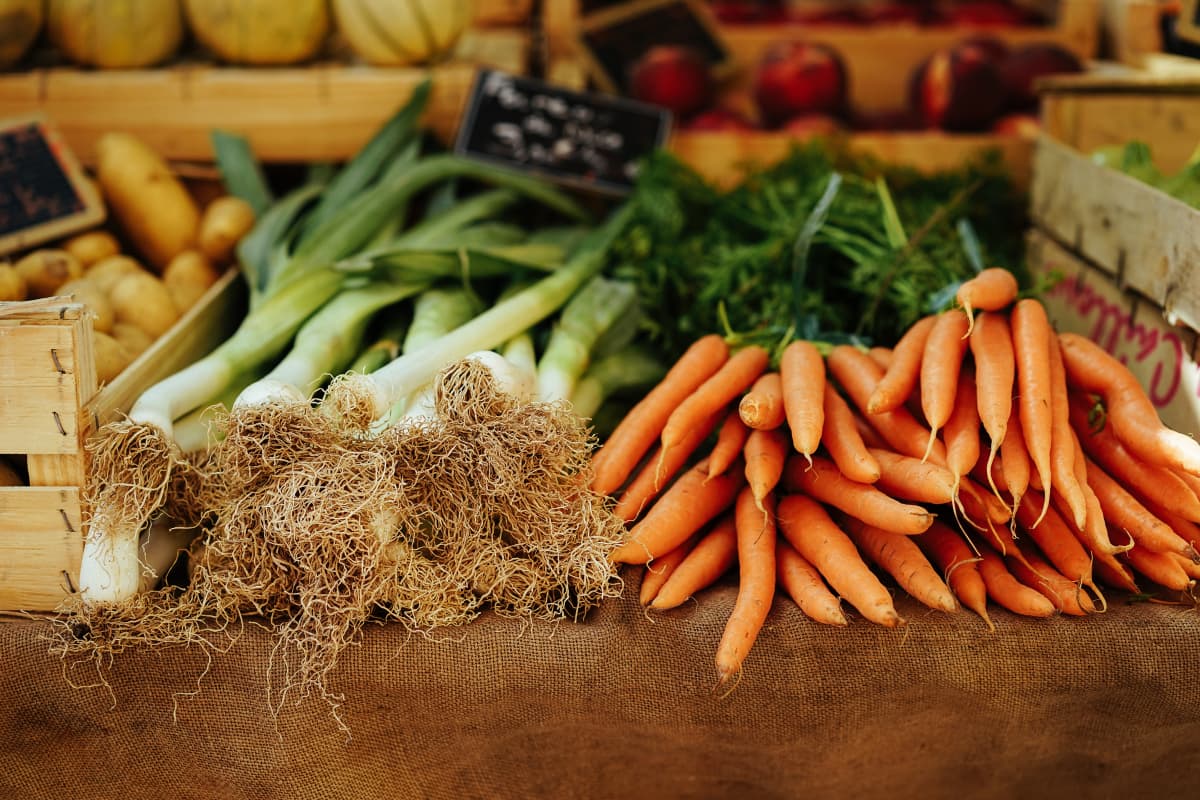 BIO-Dégustation avec SOS Faim